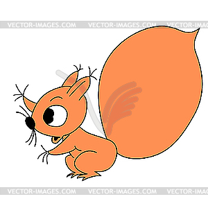 Drawing squirrel - vector image