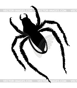 Силуэт паука - векторный эскиз
