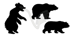 Set of the bears - vector image