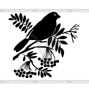 Bird silhouette - vector image