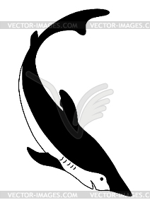 Shark silhouette - vector clip art