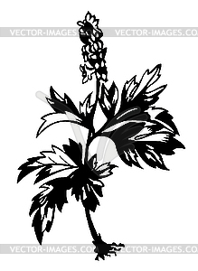 Field flower silhouette - vector image