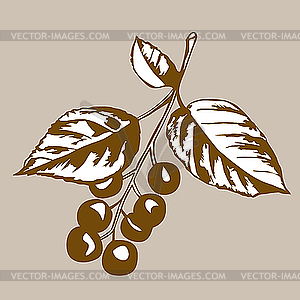A kind of cherry tree - vector image