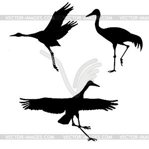 Silhouette of the crane - vector clip art