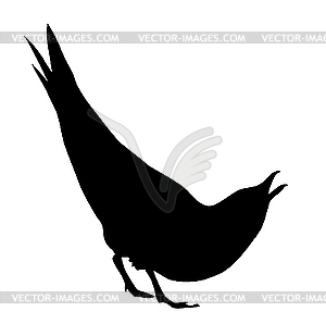 The sea gull - vector clipart