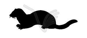 Silhouette of the marten - vector clip art