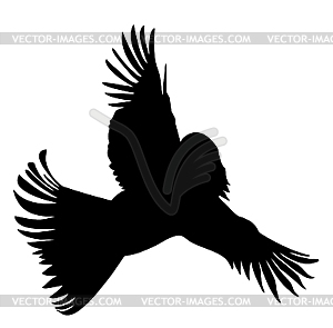 Silhouette of the bird with head of the woman - vector clip art