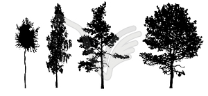 Silhouettes of trees - vector clipart