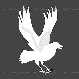 White silhouette of raven - vector image