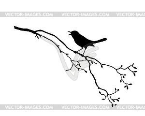 Silhouette of the bird on branch tree - vector image