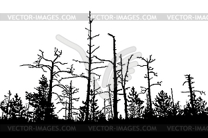 Drawing old dry wood - vector clipart