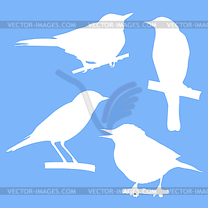 Silhouettes of the birds sitting on branch tree - vector clip art