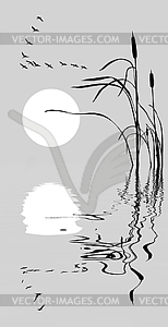 Drawing flock geese on bulrush - vector clipart