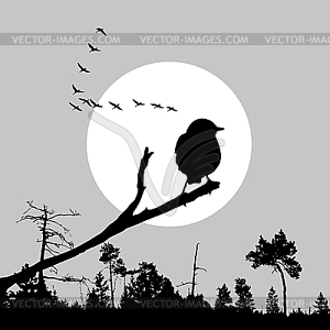 The bird on branch - vector clip art