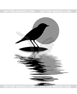 Silhouette of the bird on stone amongst water - vector clipart