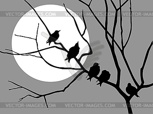 Starlings on branch of tree - vector clipart