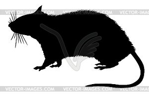 Silhouette of the rat - vector image