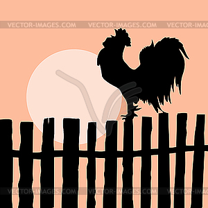 Silhouette of the cock on old fence - royalty-free vector image