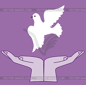 The dove in hand - vector image