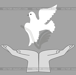 The dove in hand - vector clipart