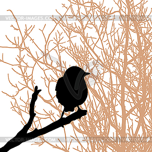 Silhouette of the bird on branch - vector clip art