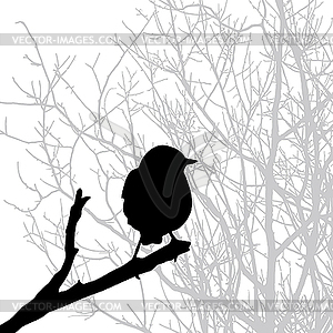 Silhouette of the bird on branch - vector clipart