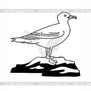 The sea gull - vector image