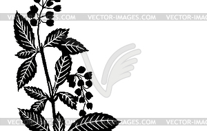 Sheet plants - vector clip art