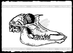 Drawing skull paper - vector image