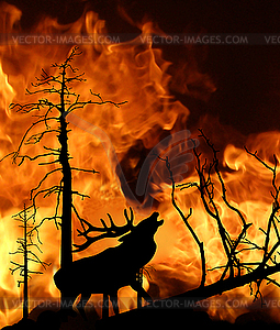 Deer running away of fire in forest - vector image