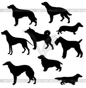 Silhouettes of hunt dogs - vector EPS clipart