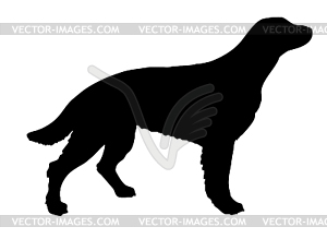 Silhouette setter - vector clipart