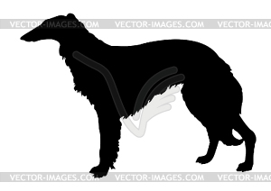 Silhouette collie - stock vector clipart