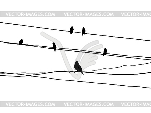 Birds to waxwings on wire - vector image