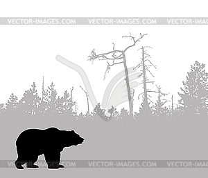 Silhouette bear - vector image