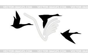 Silhouette flying duck - vector image