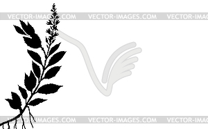 The plant - royalty-free vector clipart