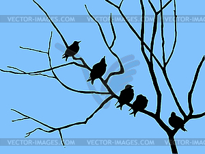 Silhouette starling on branch tree - vector clipart