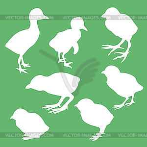 Silhouette nestling - vector clip art