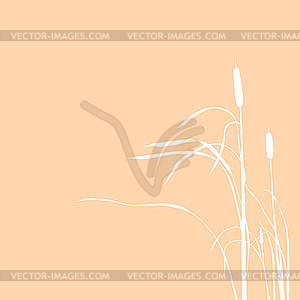 Silhouette of the reed on brown - vector image