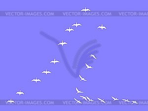 Silhouettes flock geese on blue - vector clip art