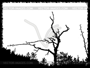 Drawing old tree on torn sheet of paper - vector image