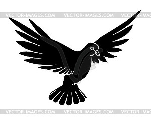 Silhouette of dove - vector image