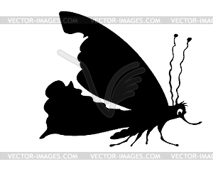 Silhouette butterfly - vector clipart