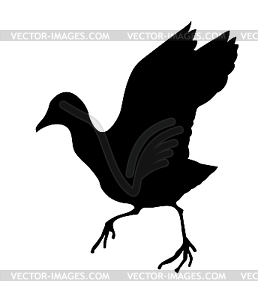 Silhouette of the wild bird - stock vector clipart