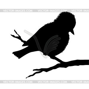 Птица на ветке силуэт - векторное изображение