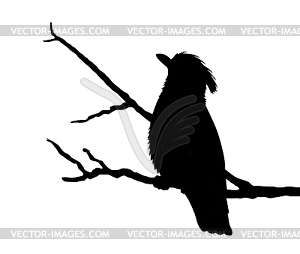 Bird silhouette - vector clipart / vector image