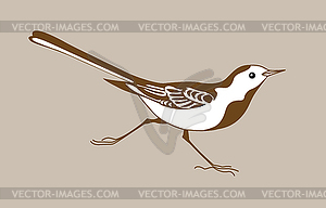 Wagtail silhouette - vector clip art