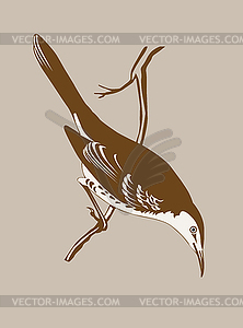 Thrush silhouette - vector image