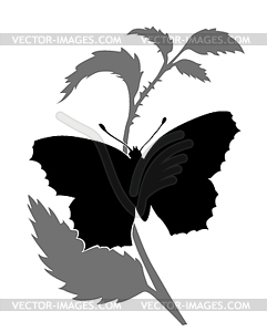Butterfly silhouette - vector image